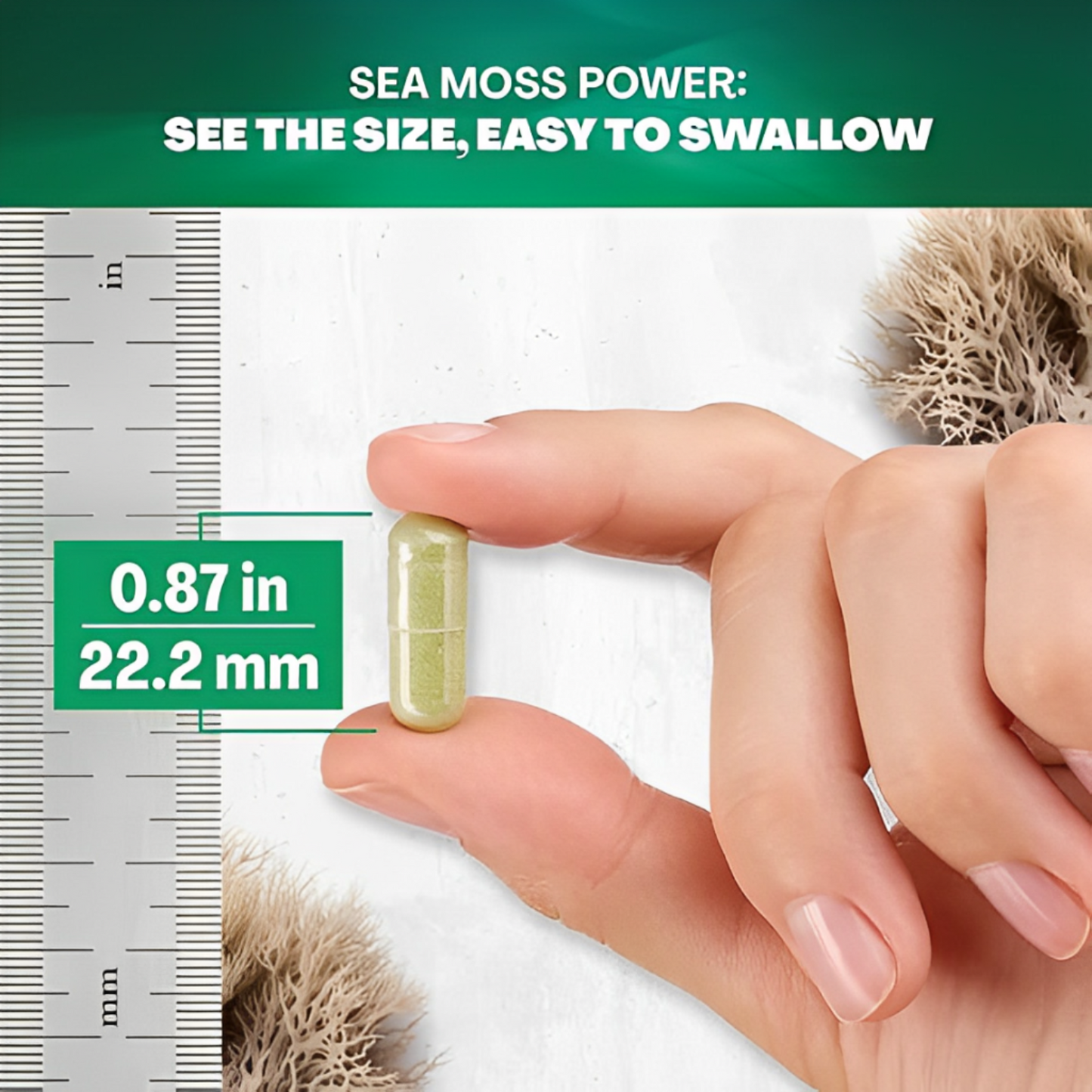 PrimalMax Sea Moss Blend