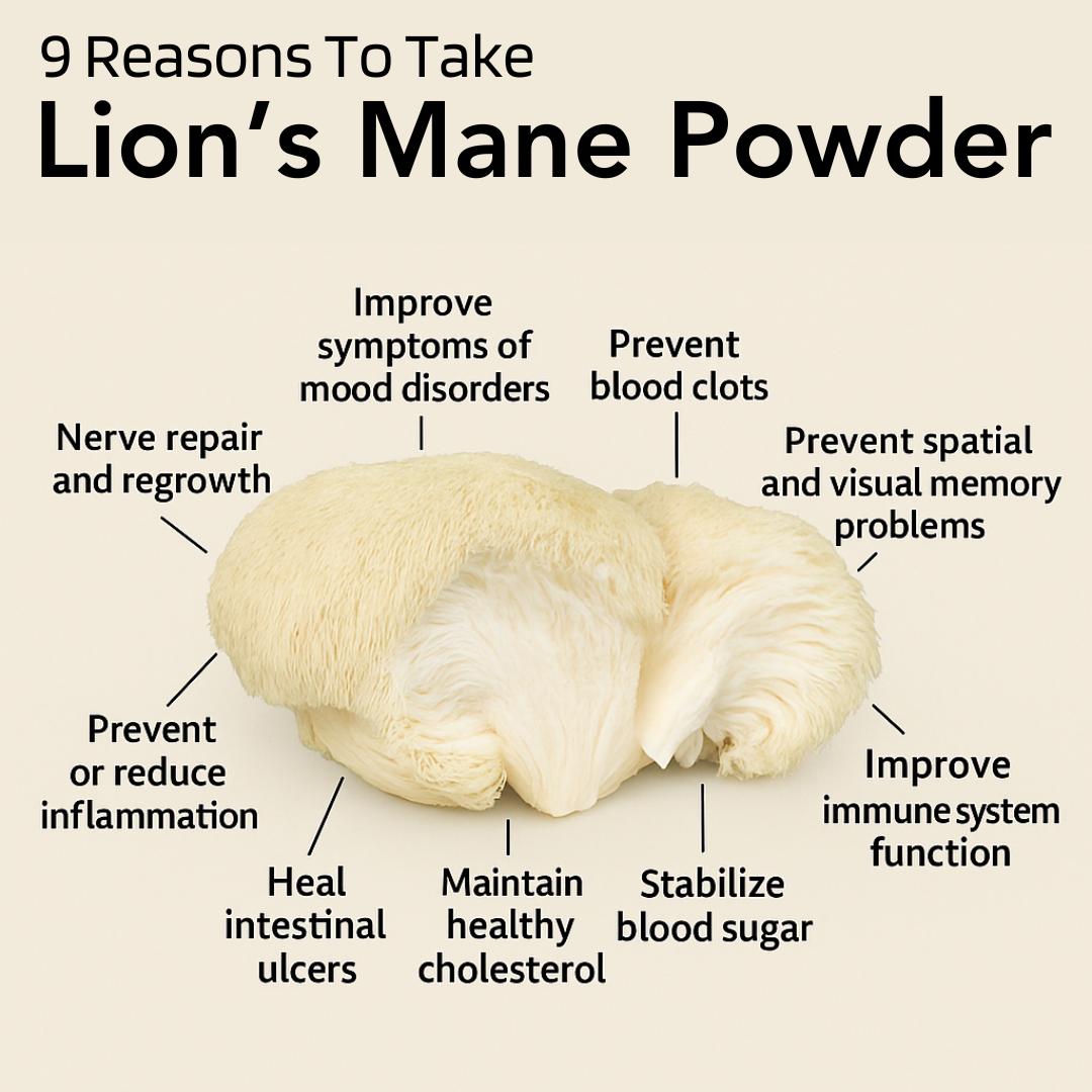 Lions Mane Mushroom Powder