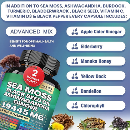 PrimalMax Sea Moss Blend